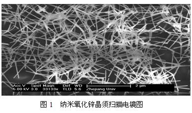 納米氧化鋅 晶須