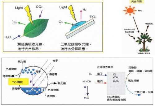 “二氧化鈦+沸石”污水處理技術：可為全球28億人解渴