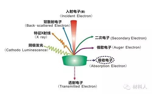 高能電子轟擊樣品表面所能產生的各種信號