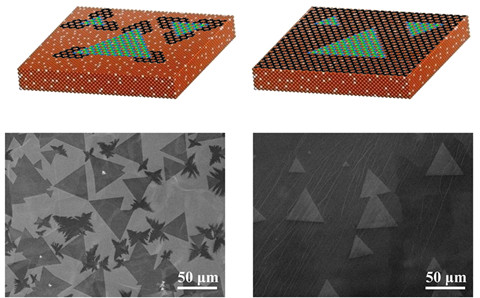 圖1 高質量graphene/h-BN平面異質結的CVD制備