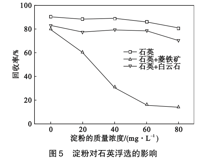 菱鐵礦和白云石對石英浮選的影響