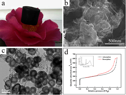 圖2 石墨烯交聯的碳空心球氣凝膠：（a）花瓣上的氣凝膠；(b)氣凝膠的掃描電子顯微鏡照片；(c)氣凝膠的透射電子顯微鏡照片；（d）氣凝膠的氮氣吸脫附曲線。