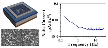 石墨烯納米墻及其光探測器結構圖和光探測器低噪聲電流示意圖