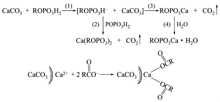 磷酸醋類、硬脂酸與碳酸鈣反應示意圖