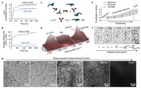 浙大最新Nature：碳酸鈣變“形”記