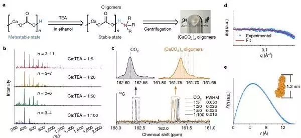 浙大最新Nature：碳酸鈣變“形”記