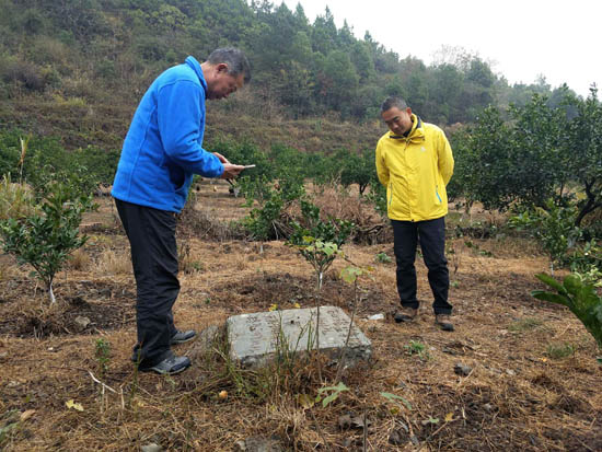 江西渝水-上高地區圈定9個硅灰石、8個透輝石礦體！